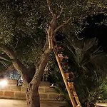 Masseria Dei Monaci (adults Only) Otranto